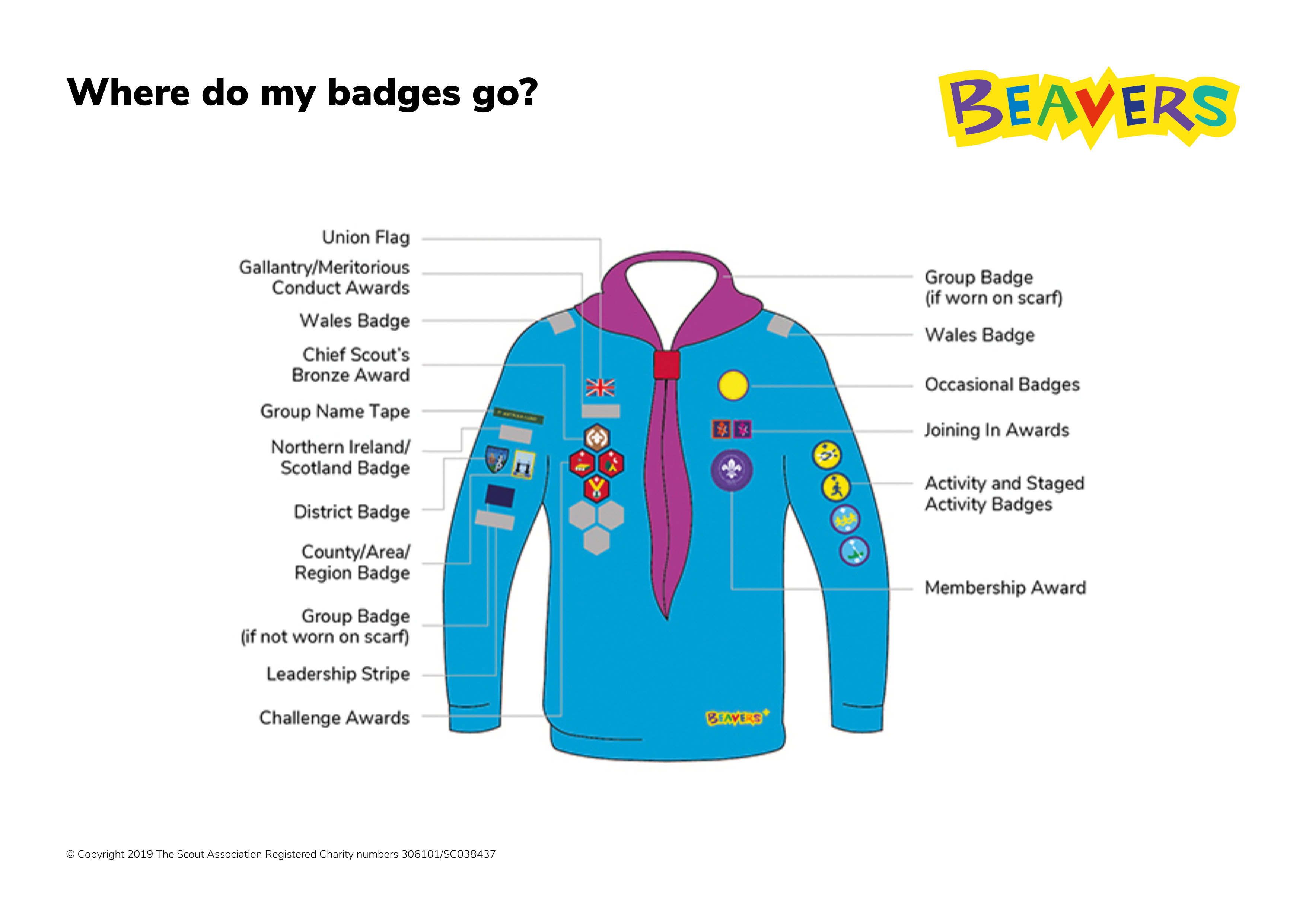 Beavers Badge Placement